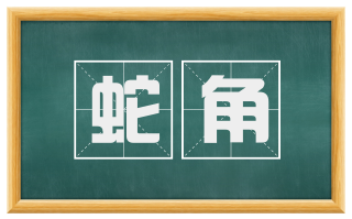 蛇角