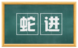 蛇进