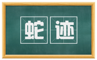 蛇迹