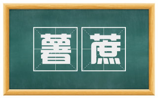薯蔗