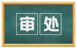 审处
