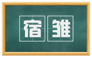 宿雏