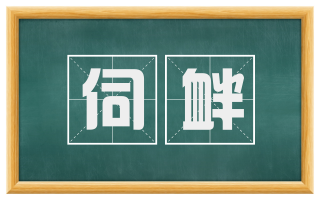 伺衅