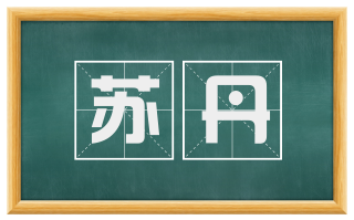 苏丹