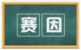 赛因