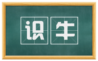 识牛