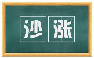 沙涨