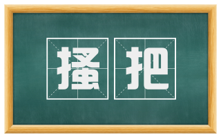 搔把