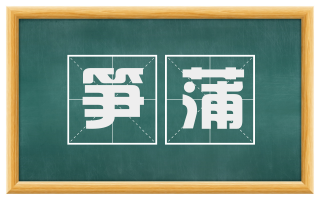 笋蒲