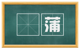 箑蒲