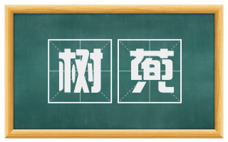 树蔸