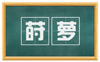 莳萝