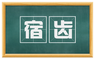 宿齿