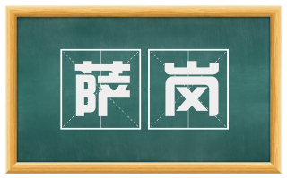 萨岗