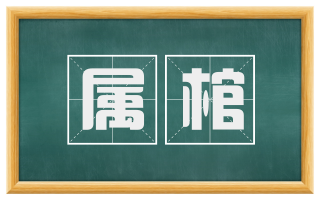 属棺