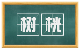 树桄