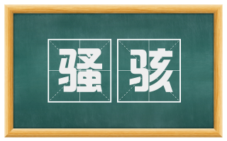 骚骇