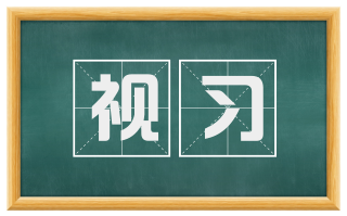 视习