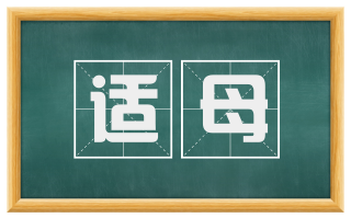 适母