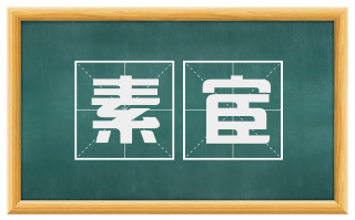 素宦