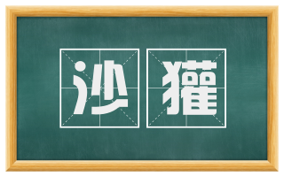 沙獾