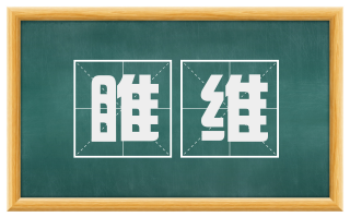 睢维