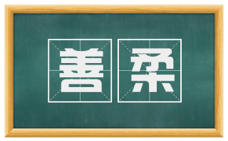 善柔