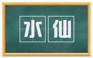 水仙