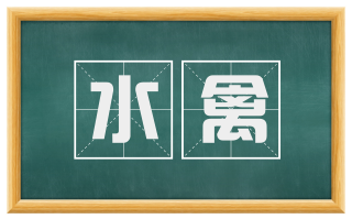 水禽