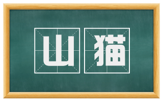 山猫