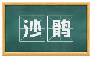 沙鹘