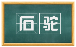 石驼