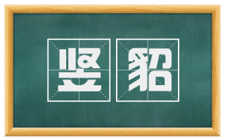 竖貂