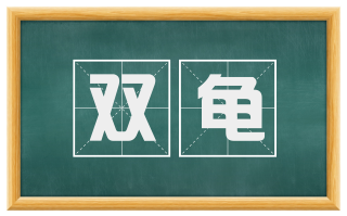 双龟