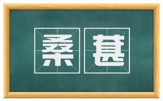 桑葚