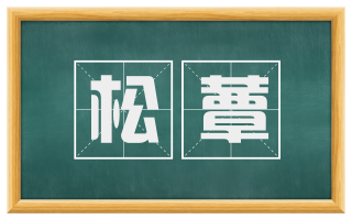 松蕈