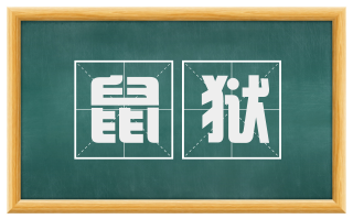 鼠狱