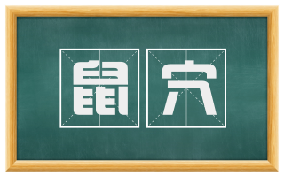 鼠穴