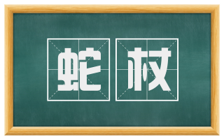 蛇杖