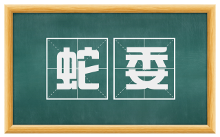 蛇委