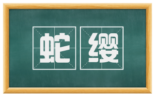 蛇缨