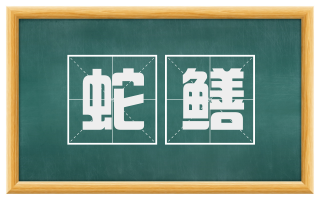 蛇鳝