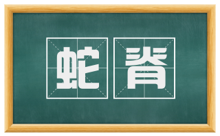 蛇脊