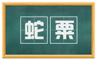 蛇粟