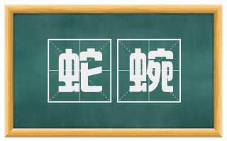 蛇蜿