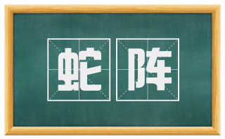 蛇阵