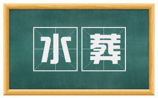 水葬