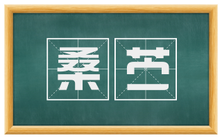 桑苎