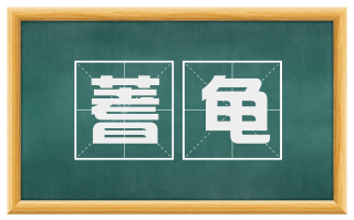 蓍龟
