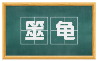 筮龟